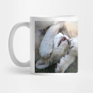 Play & Affection Mug